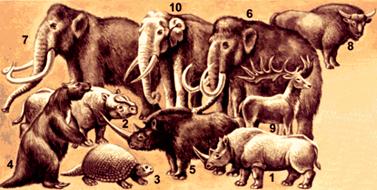 Млекопитающие четвертичного периода